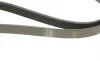 Ремень генератора Ford Connect 1.8 TDCI 02-13 (6PK1720) BOSCH 1 987 946 295 (фото 5)