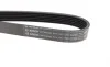 Ремінь генератора VW T4 2.4D/2.5TDI 90-03/Ford Fiesta 1.25-1.6 95-02 (6PK1767) BOSCH 1 987 946 296 (фото 3)