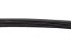 Ремень генератора VW Golf/Skoda Octavia 2.0i 04-13/Mazda 2/3 1.5 13-/Kia Ceed 1.4/1.6 07- (6PK955) BOSCH 1 987 946 298 (фото 4)