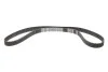 Комплект ГРМ Renault Clio/Kangoo 1.9D 91- (25x151z) BOSCH 1987946331 (фото 5)