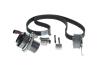 Комплект ГРМ + помпа Audi A3/A4/A5/A6/Q3/VW Caddy/T6 2.0TDI 15-/Golf VII 1.6TDI/2.0TDI 12- (25x145z) BOSCH 1987946383 (фото 4)