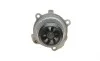 Комплект ГРМ + помпа Audi A3/A4/Skoda Octavia/WV Caddy III/Golf IV/V/Passat/Touran 1.6 95- (23x138z) BOSCH 1 987 946 391 (фото 6)