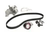 Комплект ГРМ + помпа Ford Focus 98-12/Fiesta 1.4/1.6 96-08 (22x117z) BOSCH 1987946431 (фото 1)