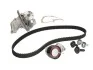 Комплект ГРМ + помпа Ford Focus 98-12/Fiesta 1.4/1.6 96-08 (22x117z) BOSCH 1987946431 (фото 2)