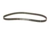 Комплект ГРМ + помпа Nissan Primera 1.9dCi 02- (26x133z) BOSCH 1 987 946 463 (фото 2)