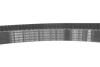 Комплект ГРМ + помпа Skoda Octavia 96-10/VW Golf IV/Bora 96-05/Audi A4 1.8/1.8T 95-03 (23x150z) BOSCH 1987946493 (фото 14)