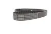 Ремень ГРМ Audi A3/A4/A6/A7/Q2/Q3/Q5/Skoda Octavia/VW Golf VIII 2.0D/2.0DH 15- (25x149z) BOSCH 1 987 946 822 (фото 4)