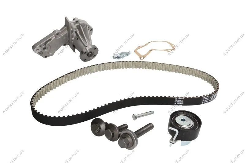 Комплект ГРМ + помпа Ford Mondeo 1.6Ti-VCT 07-14/Focus 1.4/1.6i 04-12/Fusion 1.2-1.6 02-12 (22x117z) BOSCH 1987946953 (фото 1)