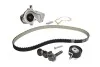 Комплект ГРМ + помпа Ford Mondeo 1.6Ti-VCT 07-14/Focus 1.4/1.6i 04-12/Fusion 1.2-1.6 02-12 (22x117z) BOSCH 1987946953 (фото 2)