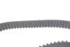 Комплект ГРМ + помпа Skoda Fabia/VW Passat/Golf 1.9TDI 00- BOSCH 1987946978 (фото 13)