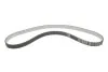 Комплект ГРМ + помпа Citroen Berlingo/Jumpy/Peugeot Partner 1.6HDI/Fiat Scudo 1.6 D 10- (25.4x141z) BOSCH 1987946988 (фото 14)