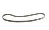 Комплект ГРМ + помпа Opel Astra F/Vectra B 1.4/1.6 16V 94-05 (20x169z) BOSCH 1 987 946 991 (фото 2)
