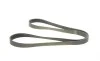 Ремень генератора Renault Megane/Laguna/Scenic 2.0 dCi 07-/Peugeot 508 2.0HDI 18- (7PK1705) BOSCH 1 987 947 044 (фото 2)