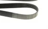 Ремень генератора Renault Megane/Laguna/Scenic 2.0 dCi 07-/Peugeot 508 2.0HDI 18- (7PK1705) BOSCH 1 987 947 044 (фото 5)