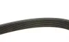 Ремінь генератора Mazda 6 2.0 MZR-CD 07-10/MPV 2.0 DI 02-06 (8PK1230) BOSCH 1 987 947 047 (фото 3)