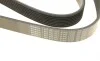 Ремінь генератора Mazda 6 2.0 MZR-CD 07-10/MPV 2.0 DI 02-06 (8PK1230) BOSCH 1 987 947 047 (фото 5)