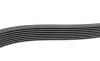 Ремень генератора MB Axor 2 (OM926) 04- (8PK1635) BOSCH 1 987 947 056 (фото 4)