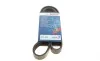 Ремень генератора Man TGA/TGS/TGX/MB LK/LN2 OM366 84- (8PK1655) BOSCH 1 987 947 057 (фото 1)