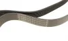 Ремень генератора Man TGA/TGS/TGX/MB LK/LN2 OM366 84- (8PK1655) BOSCH 1 987 947 057 (фото 3)