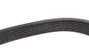 Ремень генератора MB Atego 2/Axor 2 (OM926/OM924/OM902) 04- (8PK1920) BOSCH 1 987 947 060 (фото 4)