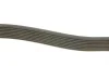Ремень генератора MB Atego/Axor/Vario 98- (8PK1955) (OM900/904/906/924-926) BOSCH 1987947062 (фото 3)
