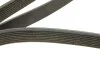 Ремень генератора MB Atego OM906/S-class (W221) (OM642) 05-13 (8PK2050) BOSCH 1 987 947 066 (фото 4)