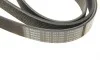 Ремень генератора MB Atego OM906/S-class (W221) (OM642) 05-13 (8PK2050) BOSCH 1 987 947 066 (фото 6)