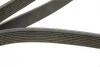 Ремень генератора MB Atego OM906/S-class (W221) (OM642) 05-13 (8PK2050) BOSCH 1 987 947 066 (фото 7)