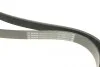 Ремень генератора Renault Master 2.3 dCi 10- (7PK1753) BOSCH 1 987 947 375 (фото 4)