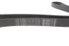 Ремень генератора Iveco EuroCargo/MB Atego 3 3.9-7.7 00- (8PK1688) BOSCH 1987947399 (фото 4)