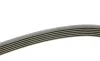 Ремень генератора Skoda Octavia 1.4/1.6 96-10/BMW 5 (E60)/X5 (E53) 01-09 (N47/M62) (6PK1548) BOSCH 1 987 947 547 (фото 2)