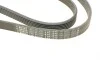 Ремень генератора Skoda Octavia 1.4/1.6 96-10/BMW 5 (E60)/X5 (E53) 01-09 (N47/M62) (6PK1548) BOSCH 1 987 947 547 (фото 4)