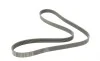 Ремень генератора Fiat Scudo 1.6D Multijet 07-/Ford Focus 1.8CDTi 04-12/Opel Corsa 06- (6PK1360) BOSCH 1 987 947 554 (фото 3)