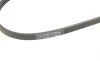 Ремінь генератора Honda CR-V 2.0 16V 4WD 95-02/Subaru Forester/Impreza/Legacy 1.5-2.5 92-09 (4PK895) BOSCH 1 987 947 559 (фото 4)