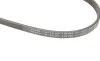 Ремінь генератора Honda CR-V 2.0 16V 4WD 95-02/Subaru Forester/Impreza/Legacy 1.5-2.5 92-09 (4PK895) BOSCH 1 987 947 559 (фото 5)