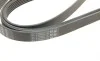 Ремень генератора Audi A4-A6/Q5 2.7/3.0TDI 05-/Hyundai Santa Fe/Kia Sorento 2.0-2.2CRDi 09-(6PK2498) BOSCH 1 987 947 564 (фото 6)