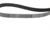 Ремень генератора MB C-class (W202)/E-class (W211) 2.2CDI/2.7CDI 98-09 (OM612)(6PK2253) BOSCH 1 987 947 569 (фото 2)