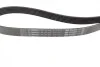 Ремень генератора MB C-class (W202)/E-class (W211) 2.2CDI/2.7CDI 98-09 (OM612)(6PK2253) BOSCH 1 987 947 569 (фото 6)