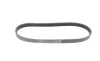 Ремень генератора Nissan Almera 1.6i 16V 06- (6PK810) BOSCH 1 987 947 575 (фото 4)