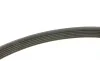 Ремень генератора Peugeot Partner 1.6 VTi 08-/Renault Kangoo/Scenic 1.5dCi/1.6 13- (6PK1205) BOSCH 1 987 947 577 (фото 2)