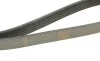 Ремень генератора Peugeot Partner 1.6 VTi 08-/Renault Kangoo/Scenic 1.5dCi/1.6 13- (6PK1205) BOSCH 1 987 947 577 (фото 3)