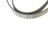 Ремень генератора Peugeot Partner 1.6 VTi 08-/Renault Kangoo/Scenic 1.5dCi/1.6 13- (6PK1205) BOSCH 1 987 947 577 (фото 4)