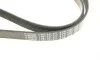 Ремень генератора Peugeot Partner 1.6 VTi 08-/Renault Kangoo/Scenic 1.5dCi/1.6 13- (6PK1205) BOSCH 1 987 947 577 (фото 5)