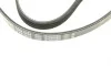 Ремень генератора Citroen Jumper 1.9TD 94-02 (4PK698) BOSCH 1 987 947 803 (фото 5)