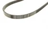 Ремень генератора BMW X5 (E53) 3.0D 03-/Opel Astra G 1.7TD -00 (4PK884) BOSCH 1 987 947 807 (фото 3)