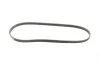 Ремень генератора BMW X5 (E53) 3.0D 03-/Opel Astra G 1.7TD -00 (4PK884) BOSCH 1 987 947 807 (фото 4)