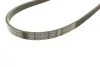 Ремень генератора BMW X5 (E53) 3.0D 03-/Opel Astra G 1.7TD -00 (4PK884) BOSCH 1 987 947 807 (фото 6)