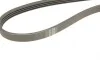 Ремінь генератора Fiat Brava 95-01/Peugeot 205/305 83-89/Renault Espace/Laguna 3.0 96-01 (4PK962) BOSCH 1 987 947 809 (фото 4)