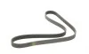 Ремень генератора Renault Kangoo 1.9D 97-/Mazda 3/6/CX-5 2.2D 12-/Fiat Scudo 2.0 00-06 (6PK1190) BOSCH 1 987 947 818 (фото 2)
