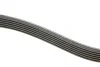 Ремень генератора Renault Kangoo 1.9D 97-/Mazda 3/6/CX-5 2.2D 12-/Fiat Scudo 2.0 00-06 (6PK1190) BOSCH 1 987 947 818 (фото 3)